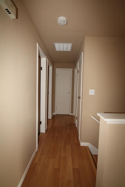 Lower level fireplace